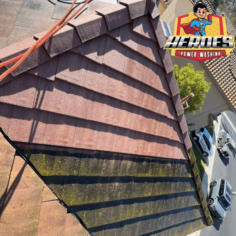 Algae Removal Company in Riverside, California