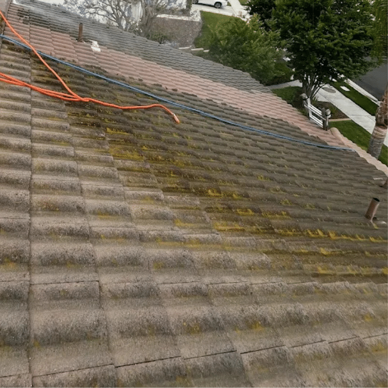 Algae Removal Company in Riverside, California