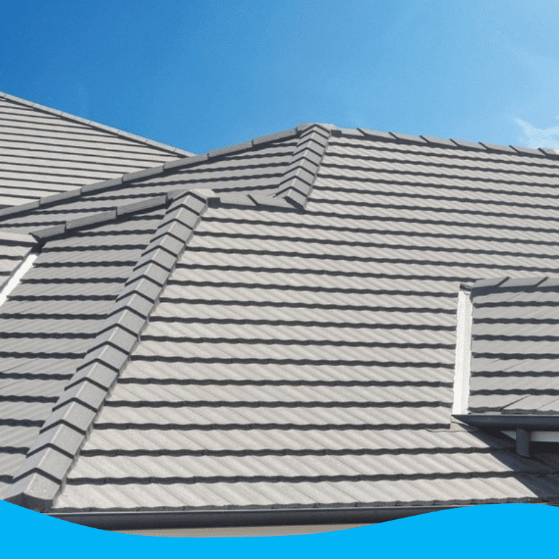 Asphalt Roof Cleaning