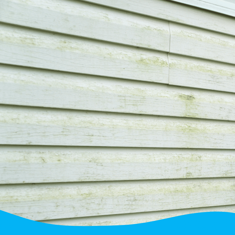 Home Exterior Algae Removal