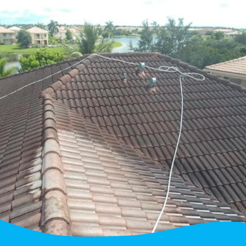Tile Roof Cleaning